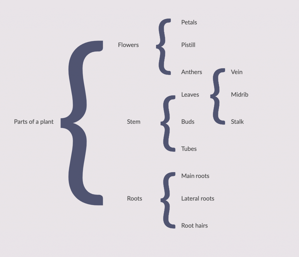 The 9 Popular Types Of Mind Map MindMaster   Brace Map 